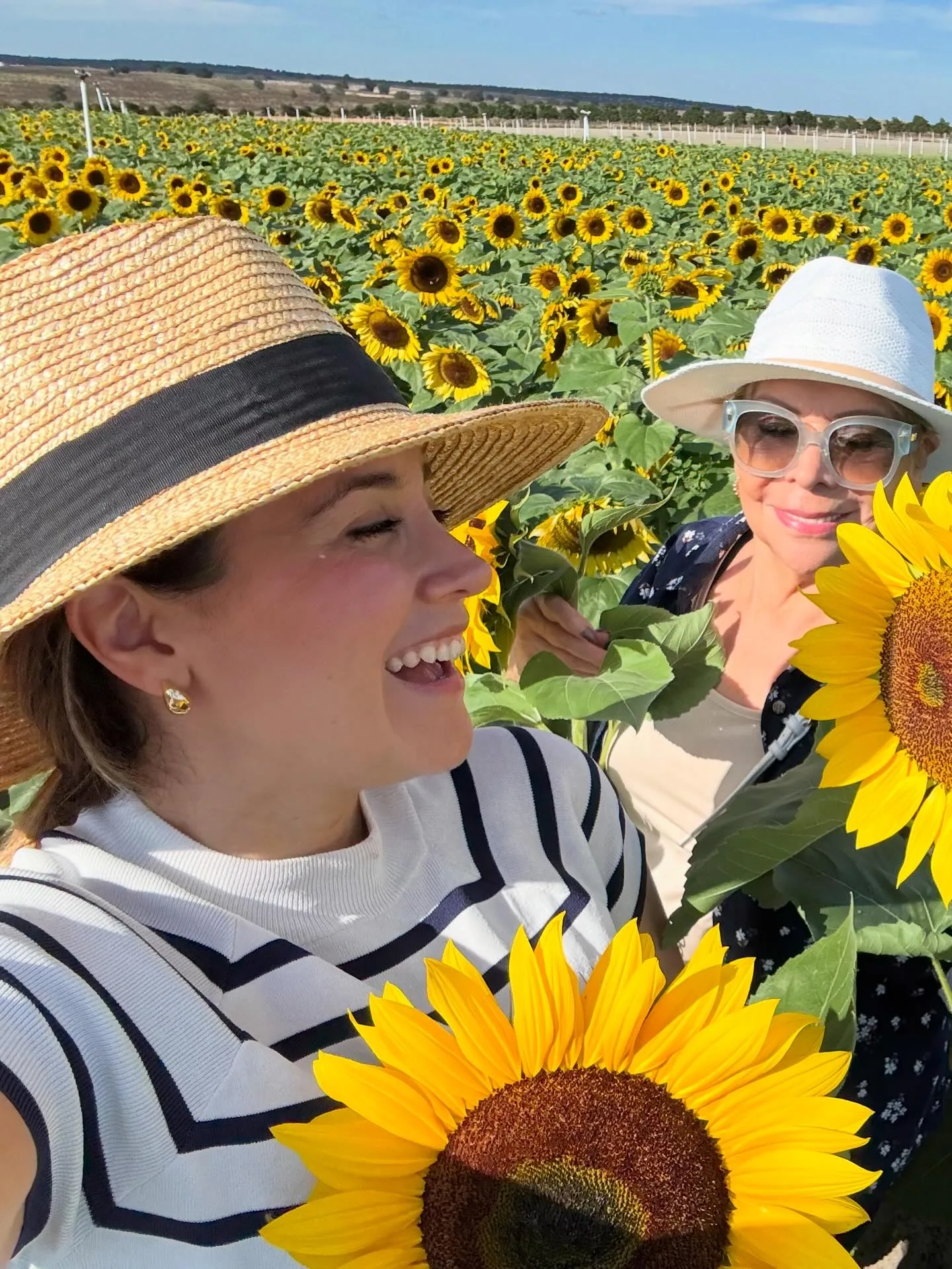 Sunflower field moment